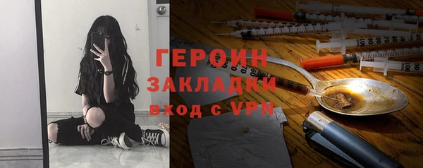 гашик Алексин