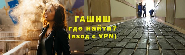 гашик Алексин