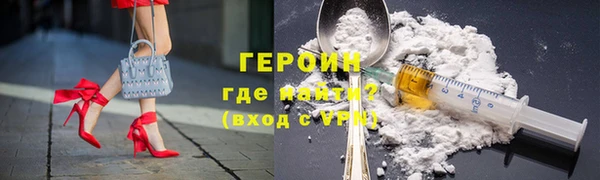 гашик Алексин