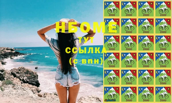 гашик Алексин
