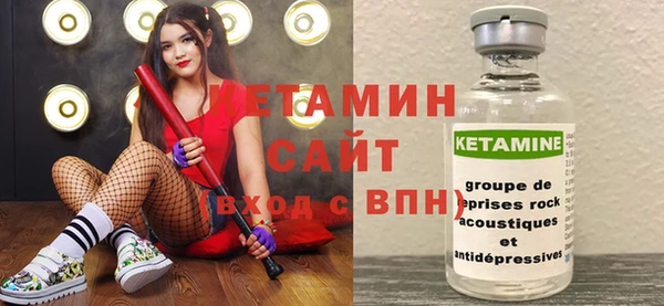 гашик Алексин