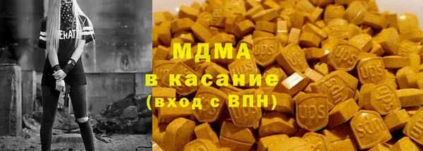 гашик Алексин